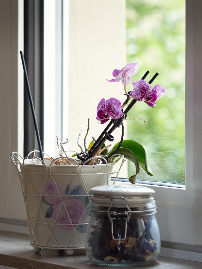 Haus Bley Apartment Витлих Екстериор снимка